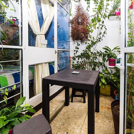 Casa Itzae B&B Polanquito Dog Friendly Mexikóváros Kültér fotó