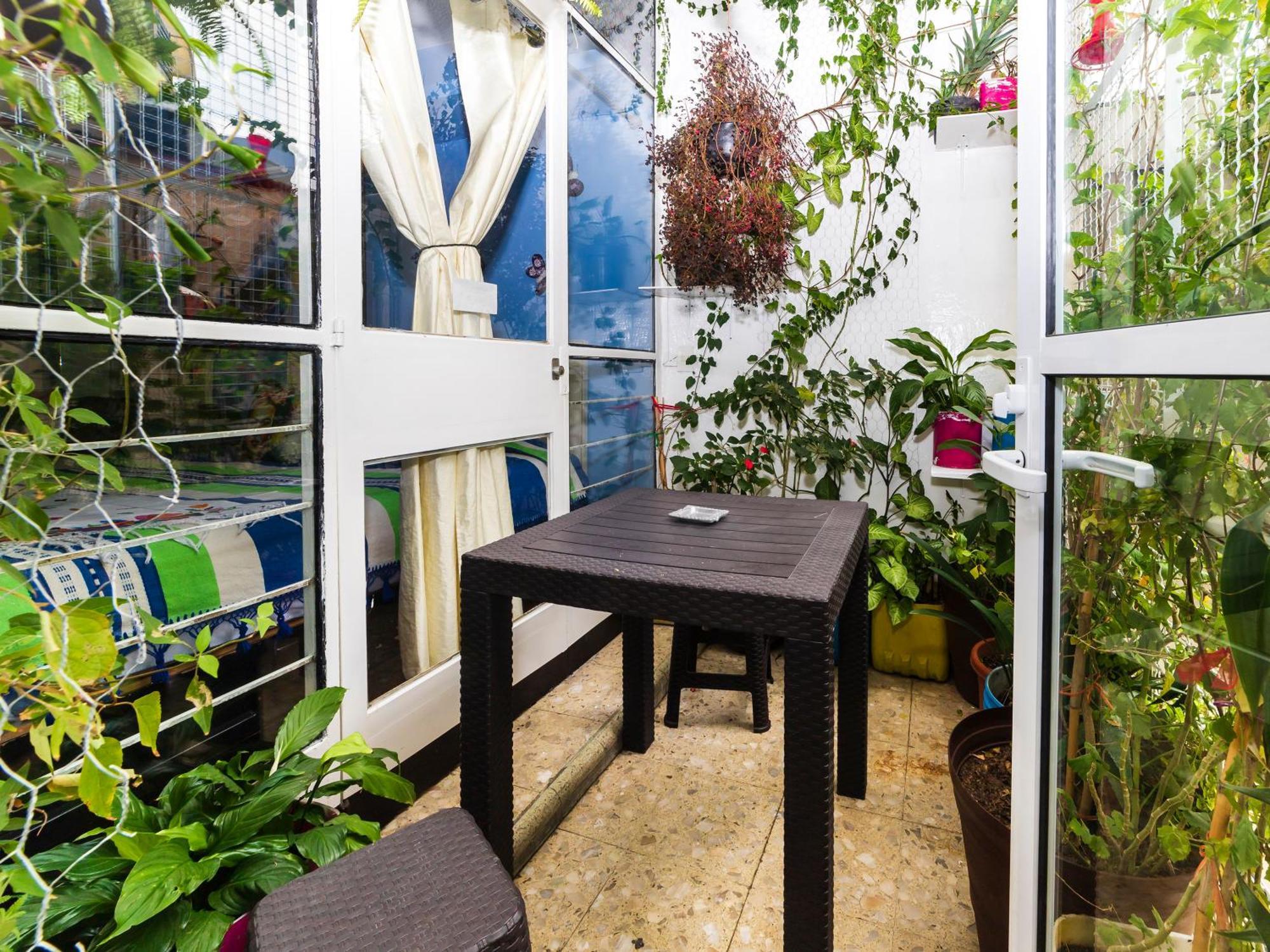 Casa Itzae B&B Polanquito Dog Friendly Mexikóváros Kültér fotó