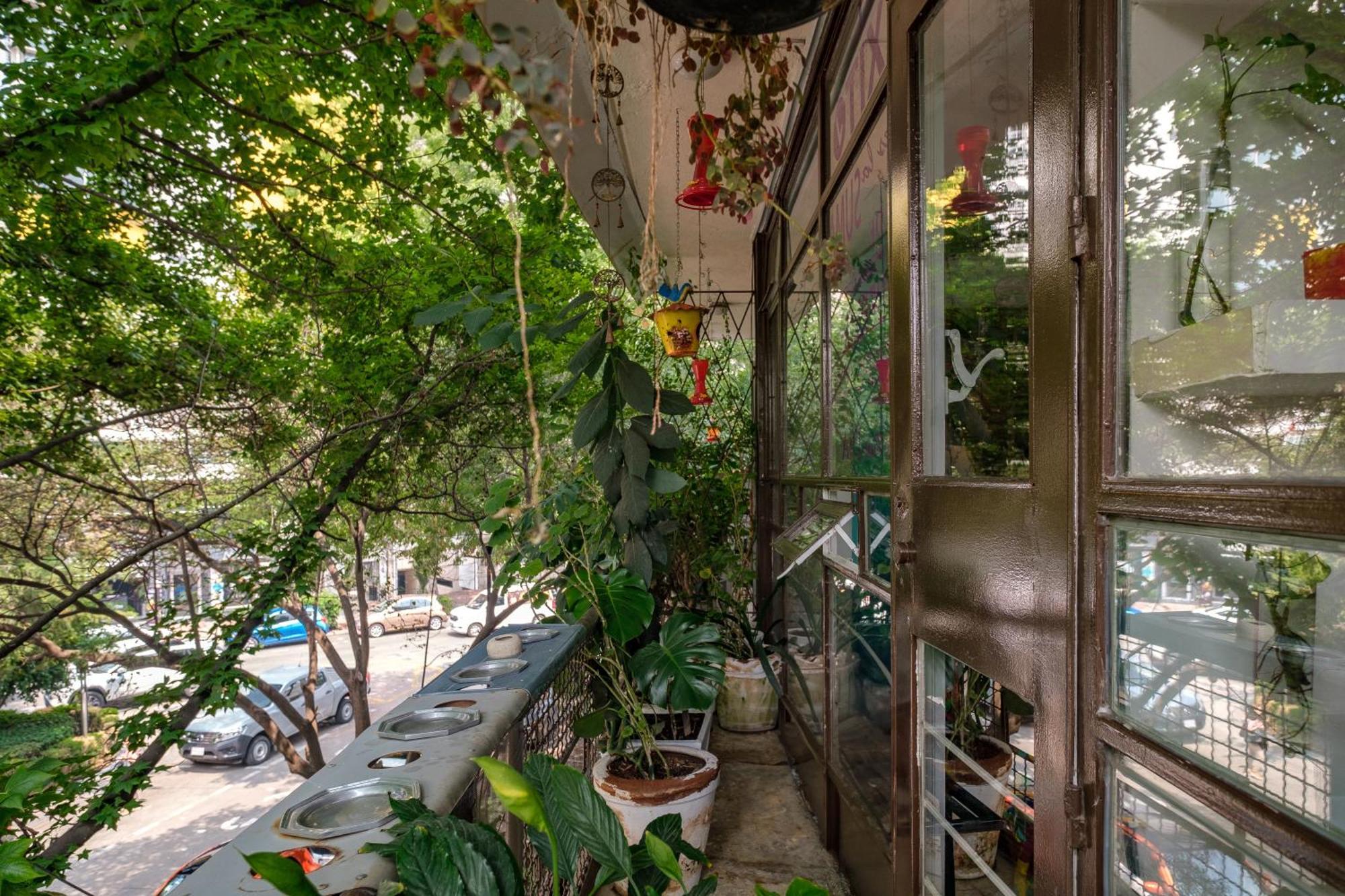 Casa Itzae B&B Polanquito Dog Friendly Mexikóváros Kültér fotó