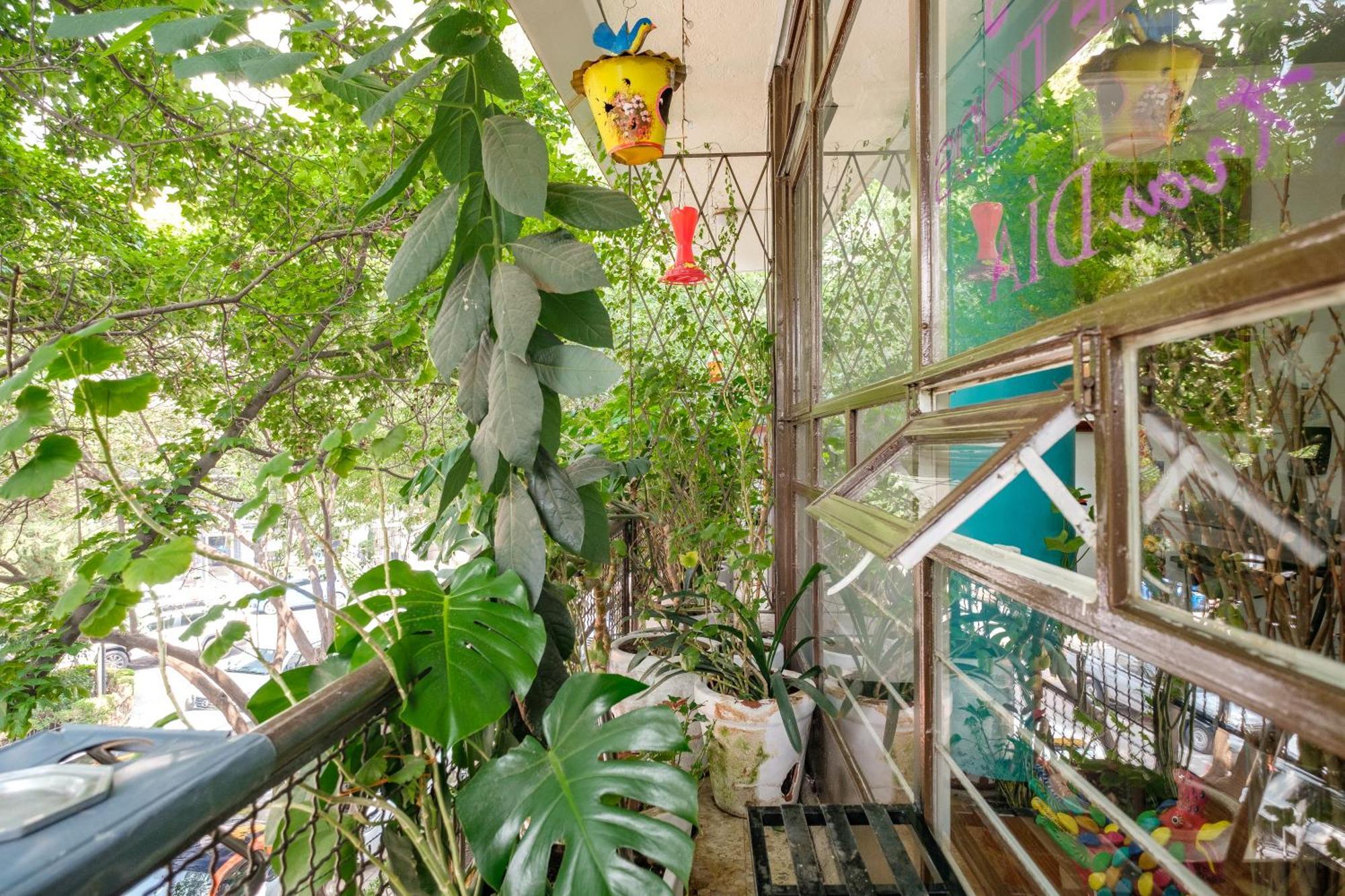 Casa Itzae B&B Polanquito Dog Friendly Mexikóváros Kültér fotó