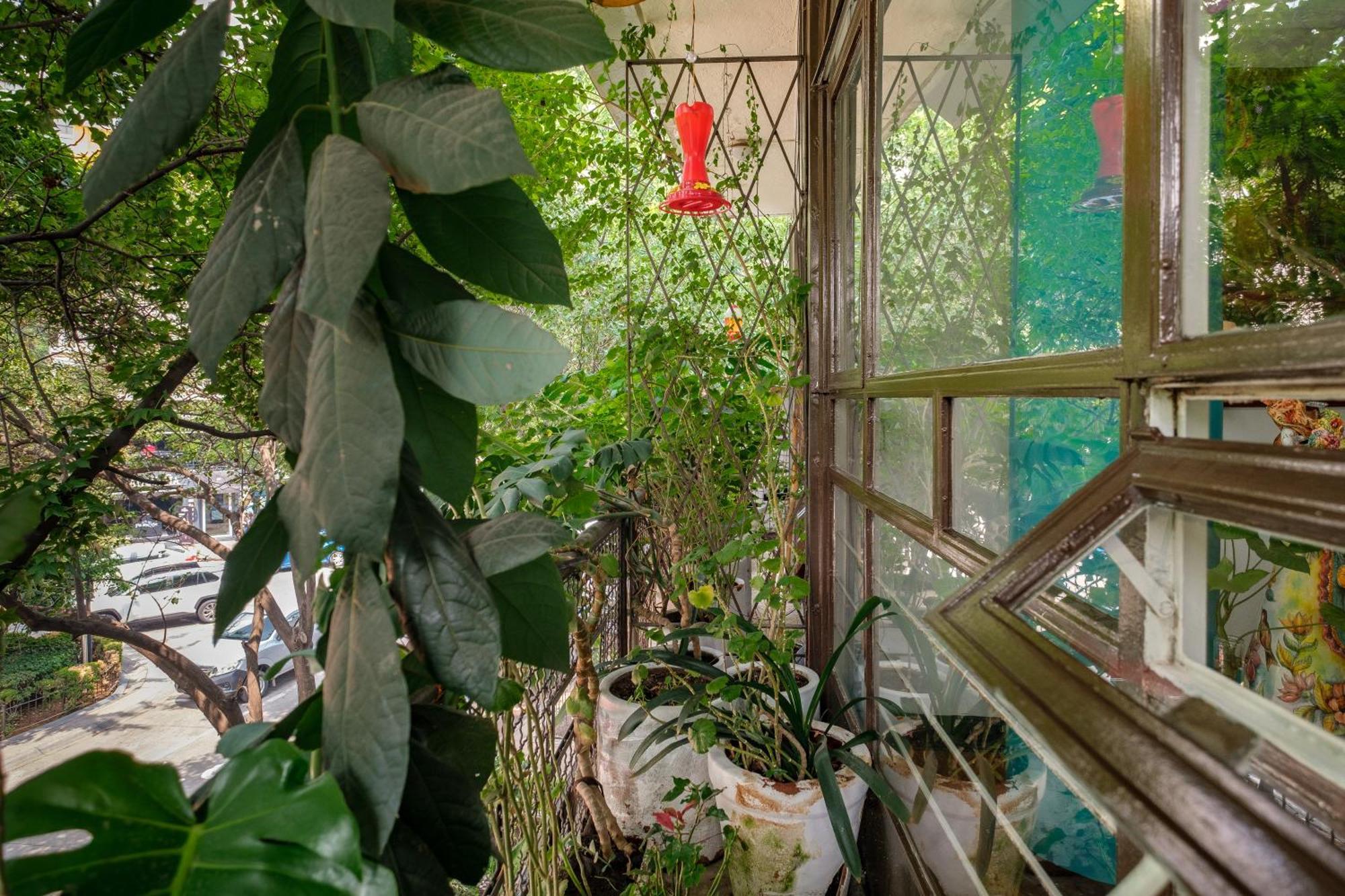 Casa Itzae B&B Polanquito Dog Friendly Mexikóváros Kültér fotó