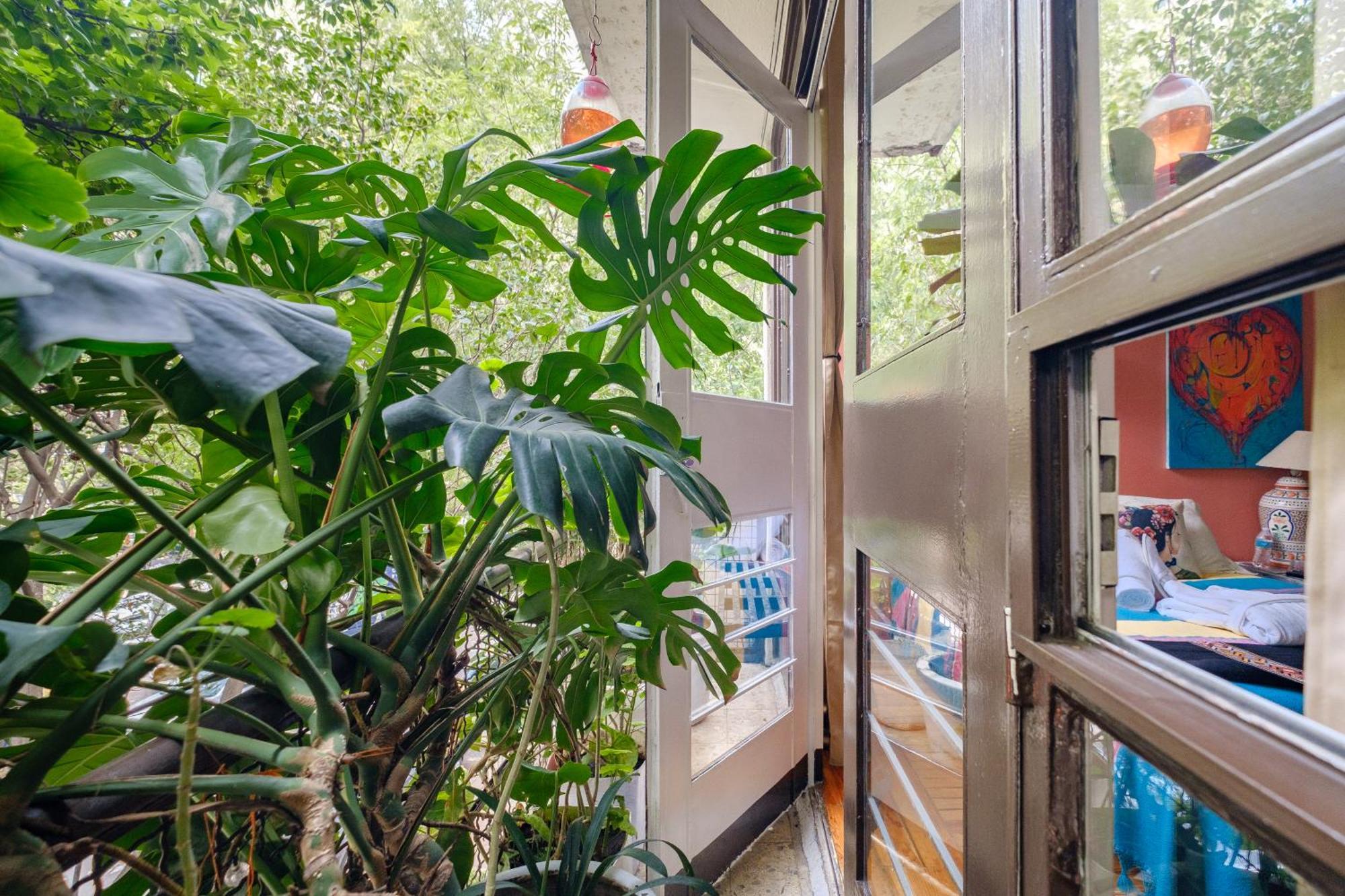 Casa Itzae B&B Polanquito Dog Friendly Mexikóváros Kültér fotó